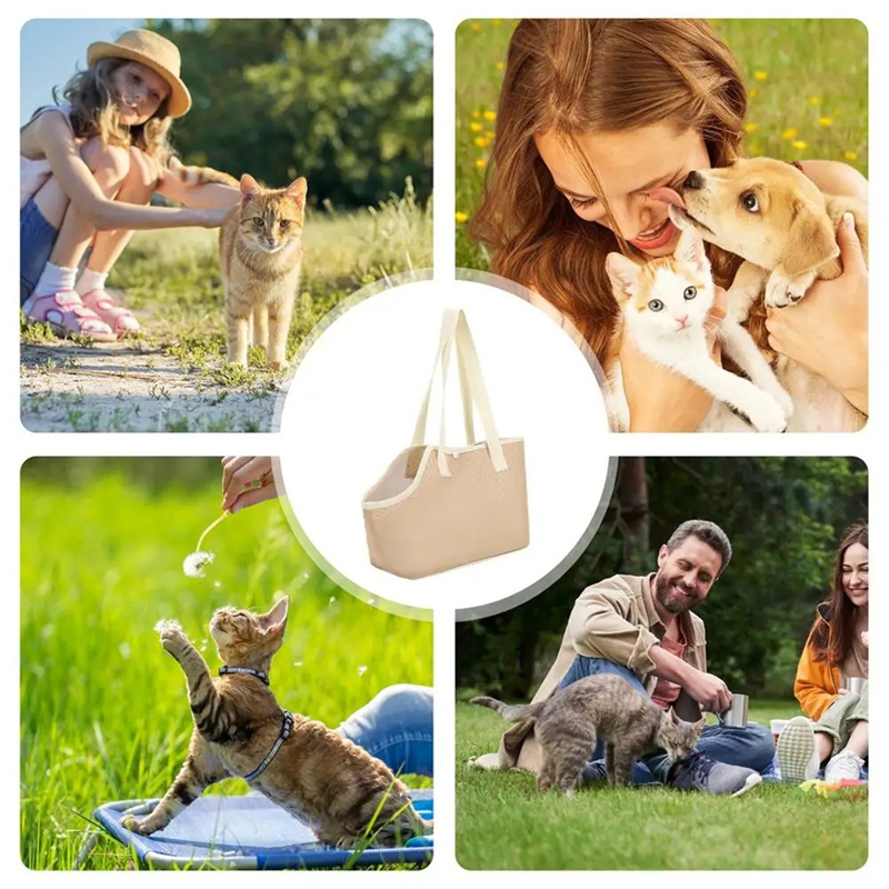 Retail Dog Chest Carrier Porta - Foldable Backpack Small 评论和价格